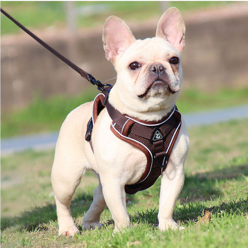 Reflective Mesh No-Pull Dog Harness & Leash Set (Brown, L)